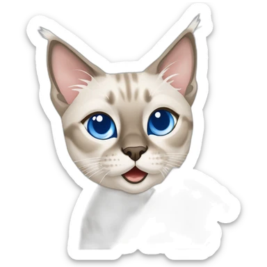 lynx point siamese cat with blue eyes playing with roll of white paper towels sticker