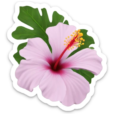 hibiscus  sticker