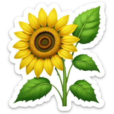 Noo, i want sunflower 
 sticker