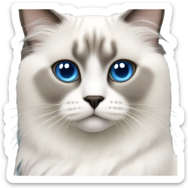 White birman cat with blue eyes sticker