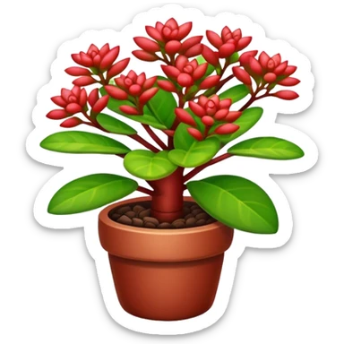 Crassula Ovata Golum sticker