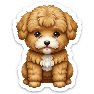 golden brown maltipoo sticker