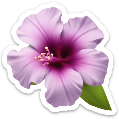Ibiscus flower beautiful sticker
