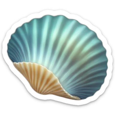Sea shell sticker