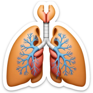 A 3D cartoon medical diagram showing lungs and airways inside a human silhouette, realistic Memoji-style. sticker