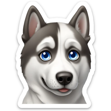Husky dog with one blue eye and one brown eye  sticker