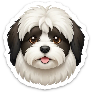 Havanese dog with black ear with white face sticker