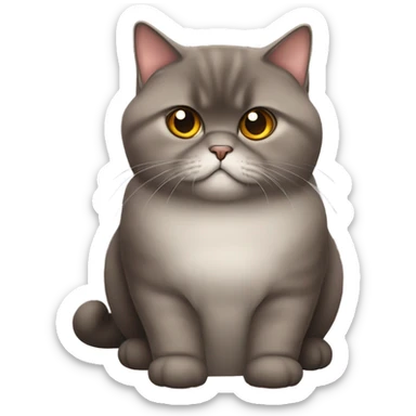 fluffy unimpressed looking deep brown british shorthair cat sticker