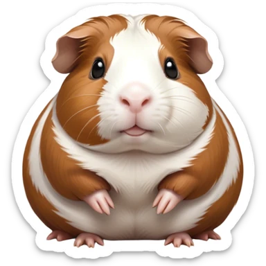 Cinematic Noble Brown and White Banded Guinea Pig Portrait Emoji, Poised and regal, with a compact, chubby build and a uniquely patterned fur of warm brown and crisp white banding, deep-set soulful dark eyes, Simplified yet sharp and sophisticated features, highly detailed, glowing with a soft, dignified glow, high shine, intelligent and charming, stylized with an air of distinctive elegance, focused and attentive, soft glowing outline, capturing the essence of a watchful and confident companion, so majestic it feels as though it could scurry out of the screen with effortless authority! sticker
