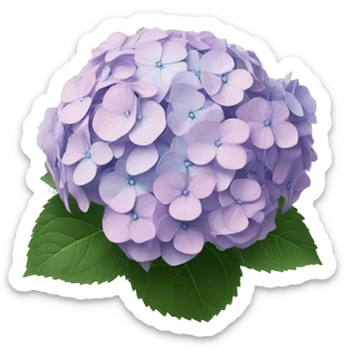 hydrangea sticker