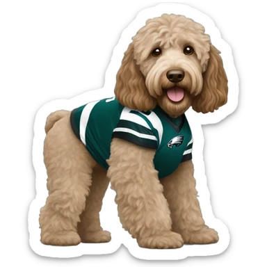 Light brown Labradoodle wearing a Philadelphia eagles jersey sticker