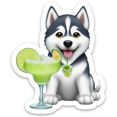 Siberian husky with a margarita  sticker