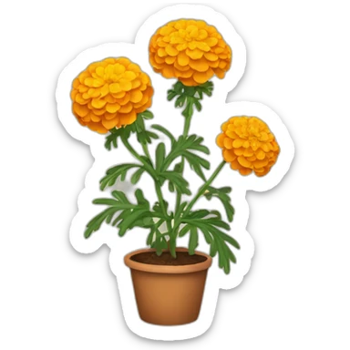 MARIGOLD PLANT sticker