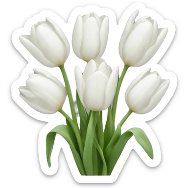 White tulips sticker