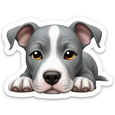 Gray Pitbull puppy laying  sticker