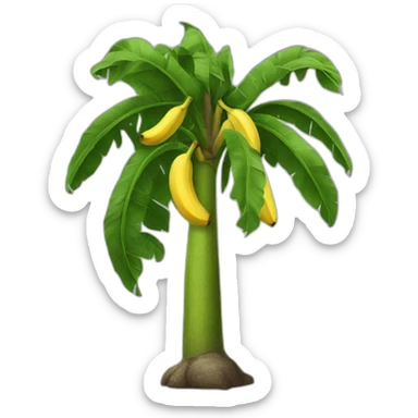 Banana tree sticker
