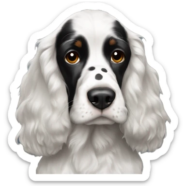 black and white trimed english cocker spaniel with spots on nose sticker
