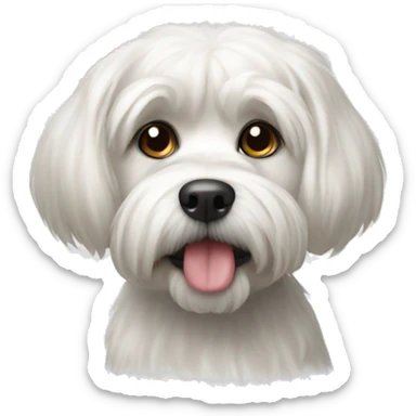 White dog shitzu sticker