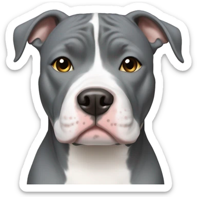Grey and white Blue nose pitbull sticker