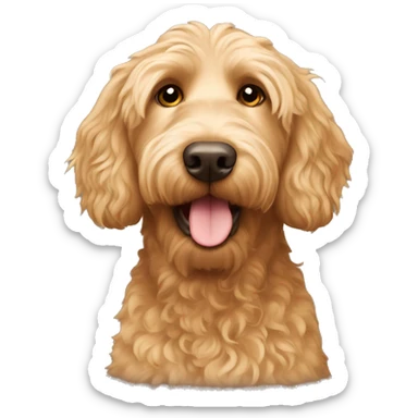 Straight hair golden labradoodle  sticker