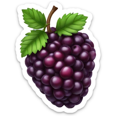 Blackberry fruit sticker