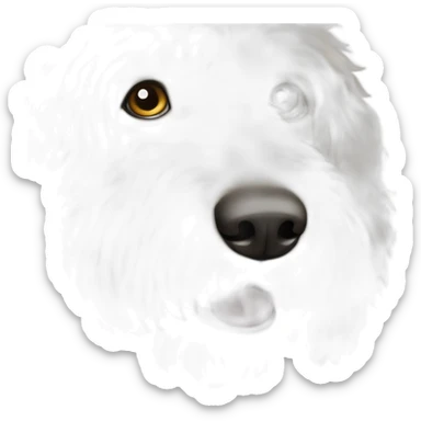 white-labradoodle-with-black-spot-around-left-eye sticker