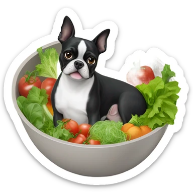 boston terrier in big bowl of salad sticker