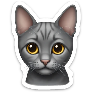 Dark gray scotish fold with ears cat and colour point cat sticker
