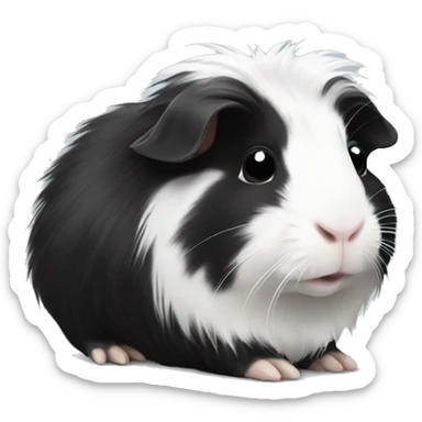 Long haired black and white guinea pig baby sticker