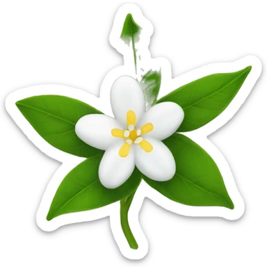 Jasmin flower tunisia  sticker