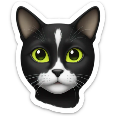 black-and-white cat with yellow-green eyes sticker