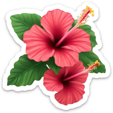 hibiscus  sticker