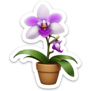 Orchid plant sticker