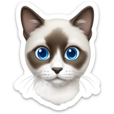 snowshoe cat blue eyes, darker face sticker