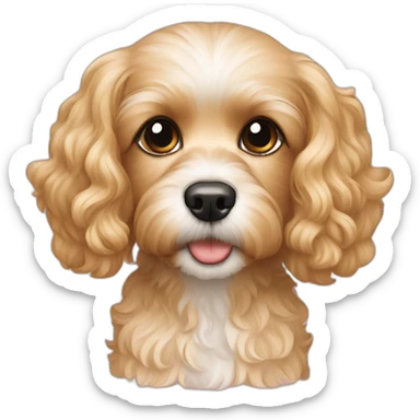 Blonde cavapoo sticker