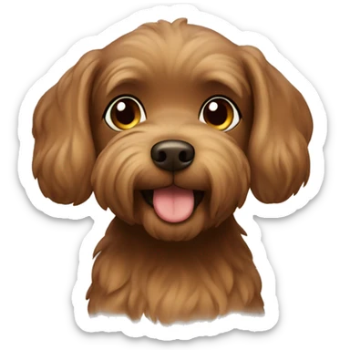 Brown maltipu  sticker