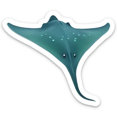 stingray sticker