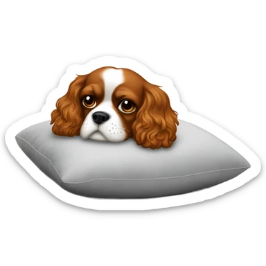Cavalier resting on pillow sticker