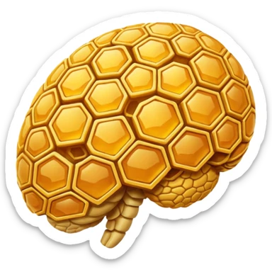 a brain made out of honeycomb sticker