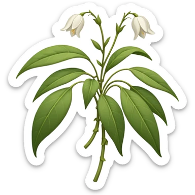 wilted jasmine emoji sticker