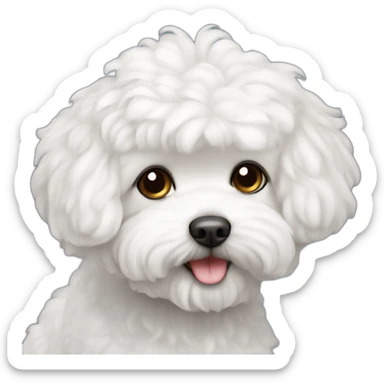 Bichon maltais sticker