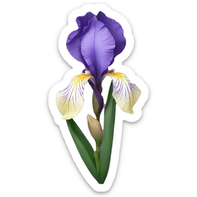 iris flower sticker