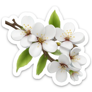 White cherry blossom  sticker