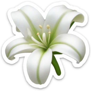 White lilie flower sticker