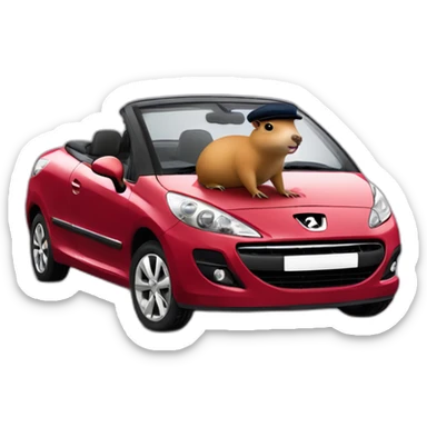 capybara wearing a beret driving a peugeot 207 coupé cabriolet sticker