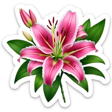 bouquet Deep Pink Oriental Lily with White Edge, luxuriant, leaf, bud sticker
