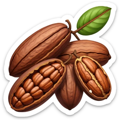 Cacao  sticker