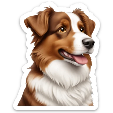 red and white australian shepherd dog sitting  sticker