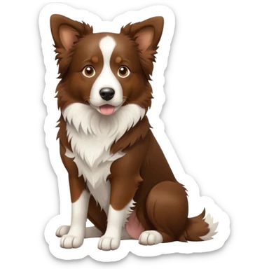 Brown Border Collie sitting sticker