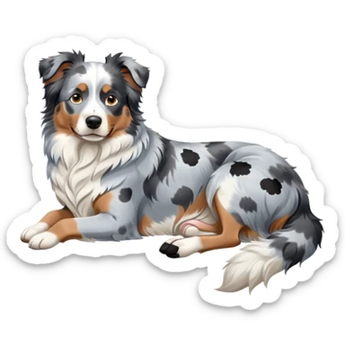Merle Australian Shepherd dog laying down, blue merle coat with white and black spots, relaxed pose sticker